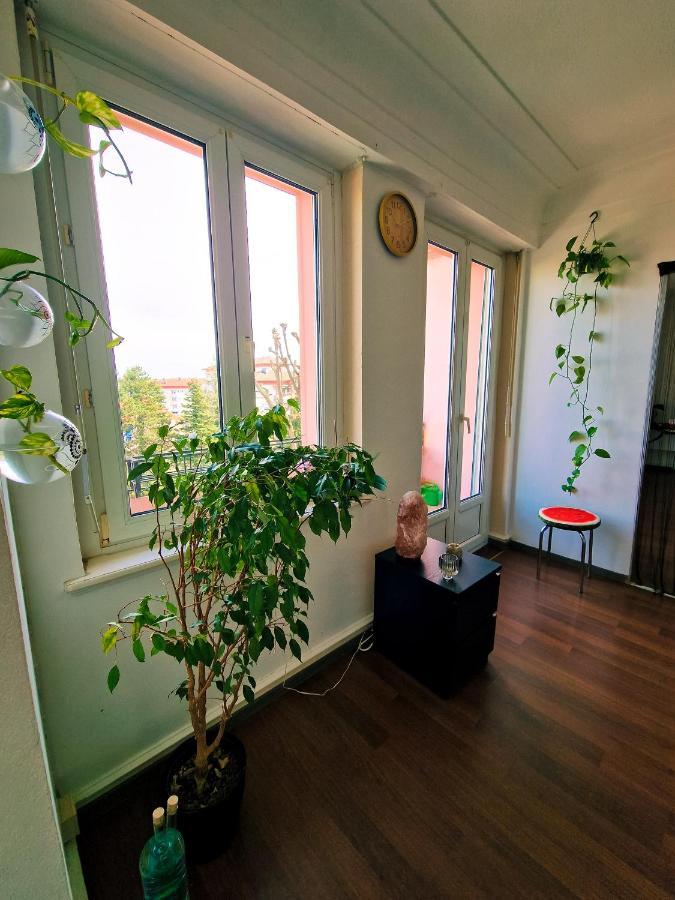 Beautiful Aparment Next To The Border 4 Room サン・ルイ エクステリア 写真
