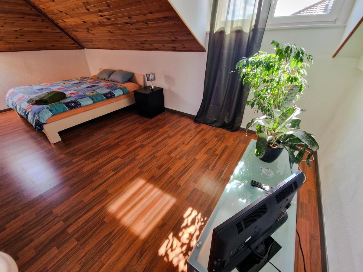Beautiful Aparment Next To The Border 4 Room サン・ルイ エクステリア 写真